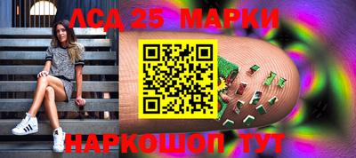 индика Можайск